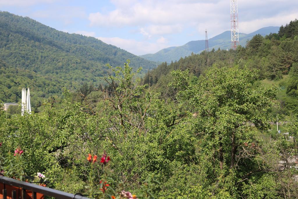 Dilijan Garden House Villa Eksteriør billede